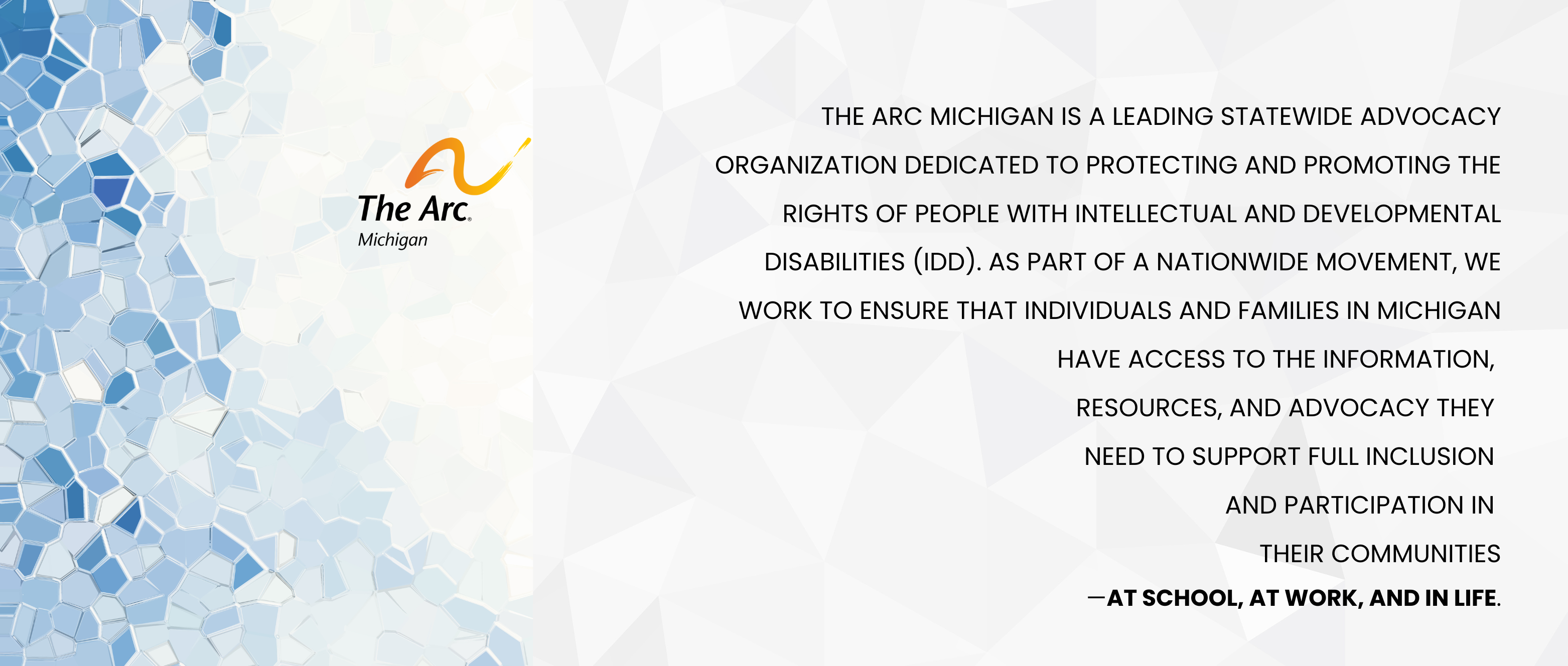 The Arc Michigan is a leading Statewide advocacy organization dedicated to protecting and promoting the rights of people with intellectual and developmental disabilities (IDD). As part of a nationwide movement, we work to ensure that individuals and families in Michigan have access to the information, 
resources, and advocacy they 
need to support full inclusion 
and participation in 
their communities
—at school, at work, and in life