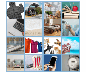 multiple images of clothing, home modifications, pets, utilities, travel, technology, education, groceries, and home furnishings.